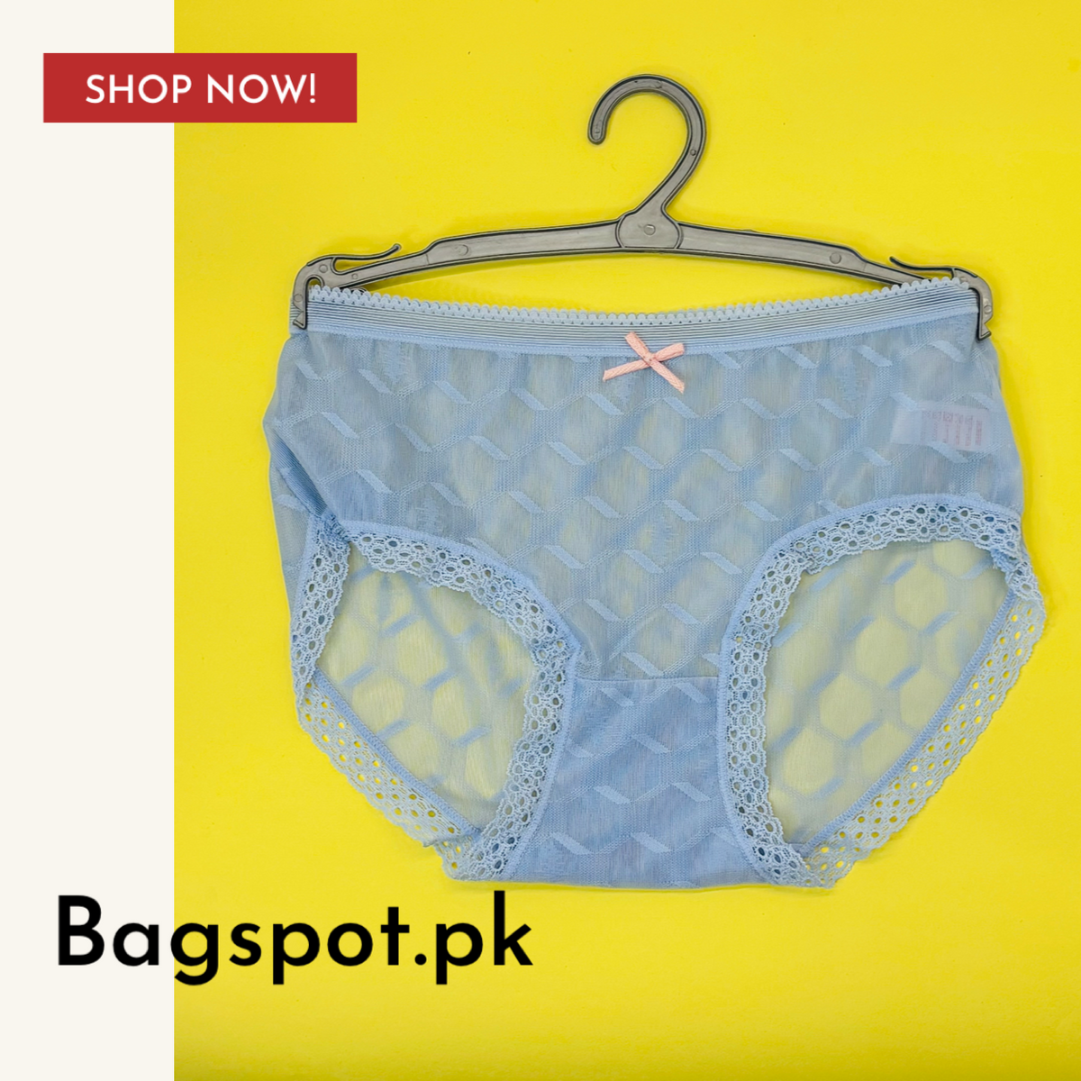 Net Lace Pantie