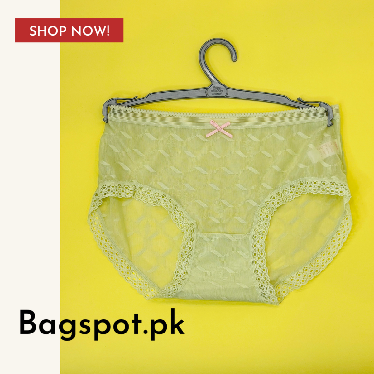 Net Lace Pantie