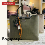 Stylish Handbag