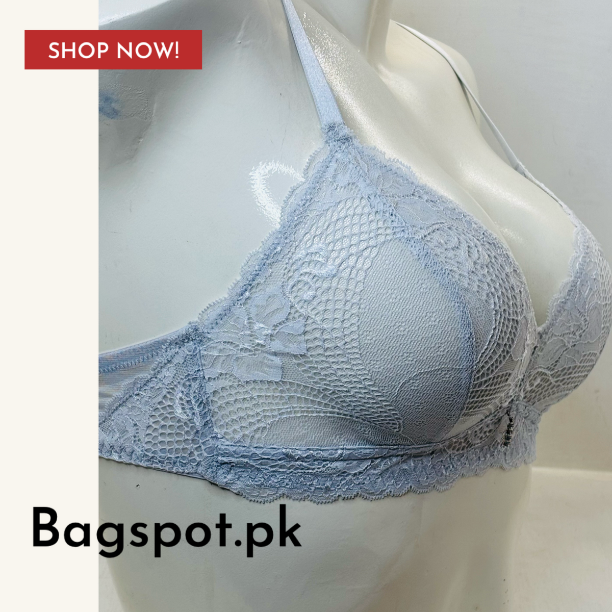Lace Net Bra