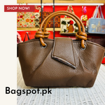 Crox Handbag