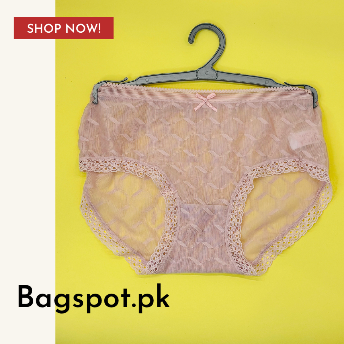 Net Lace Pantie