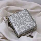 Silver Trendy Clutch