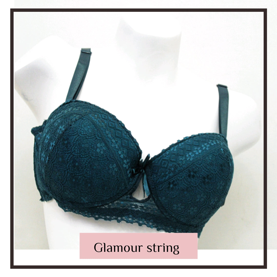 Embroidered Underwire Padded Bra