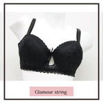 Embroidered Underwire Padded Bra